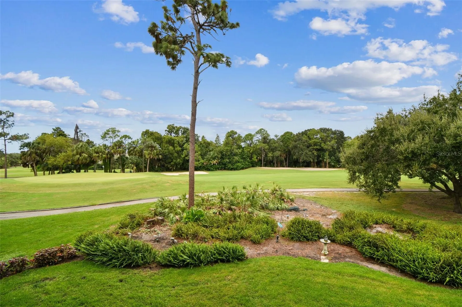 36750 Us Highway 19 N Palm Harbor FL 34684
