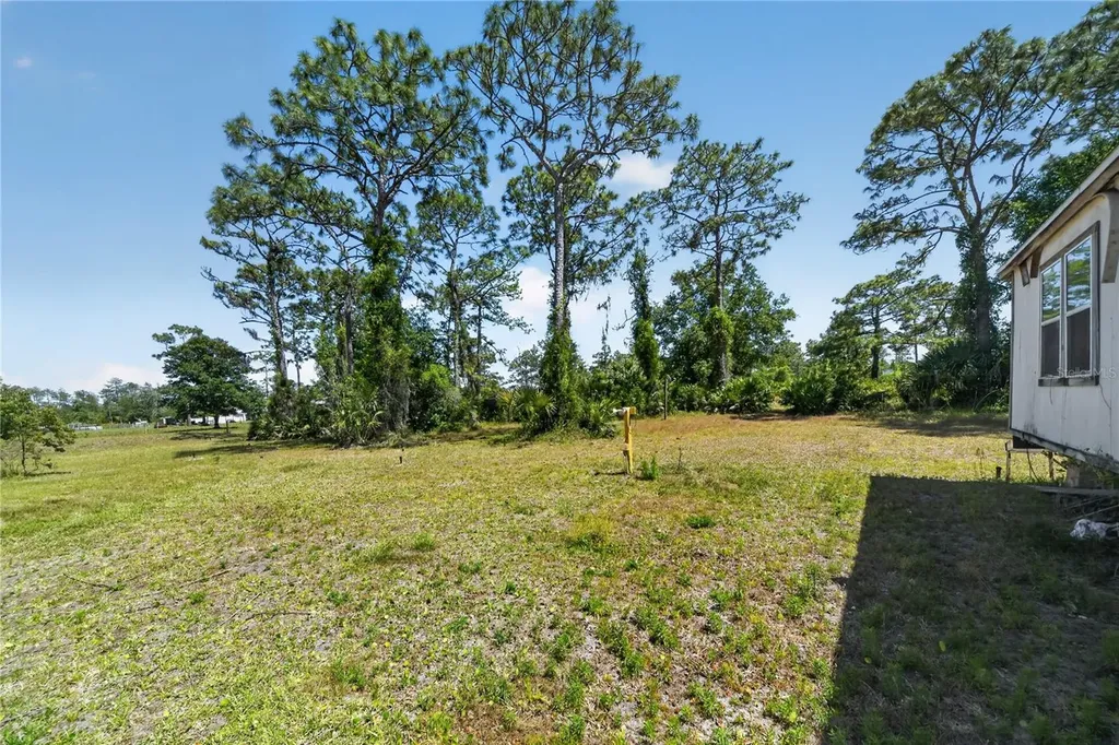 23000 Tex Wheeler Avenue Christmas FL 32709