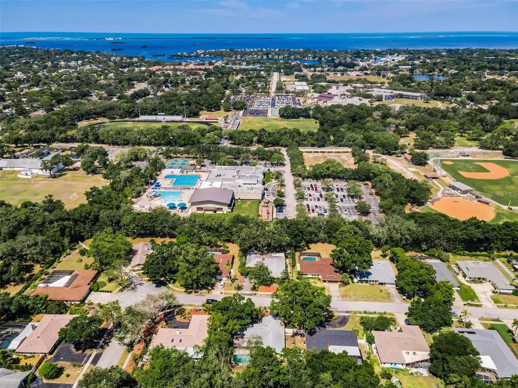 520 Sandy Hook Road Palm Harbor FL 34683