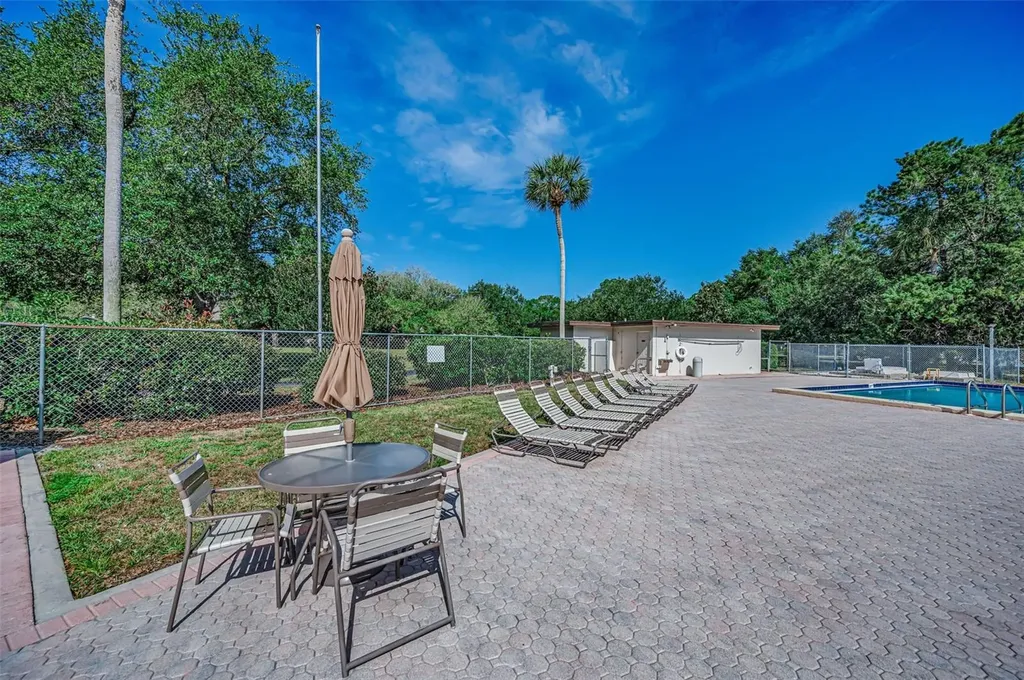 520 Sandy Hook Road Palm Harbor FL 34683
