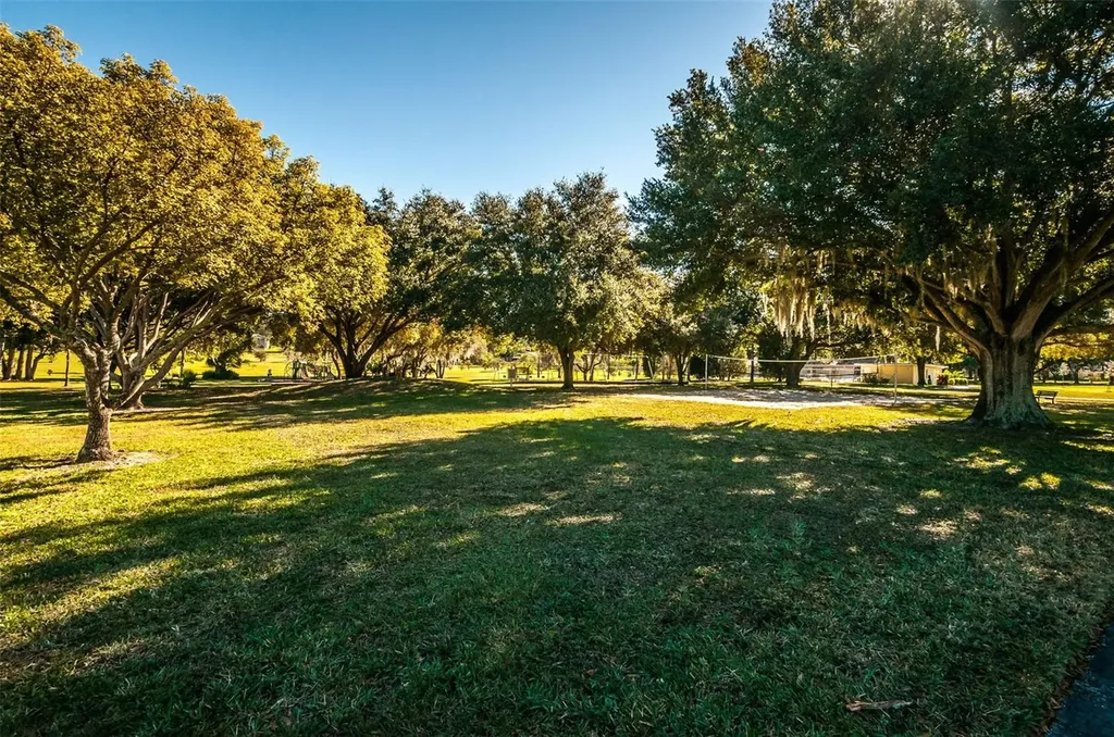 520 Sandy Hook Road Palm Harbor FL 34683