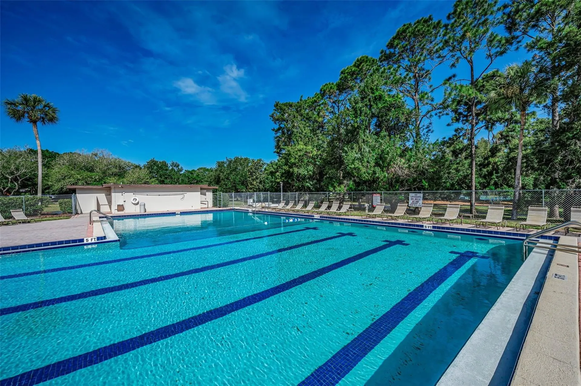520 Sandy Hook Road Palm Harbor FL 34683