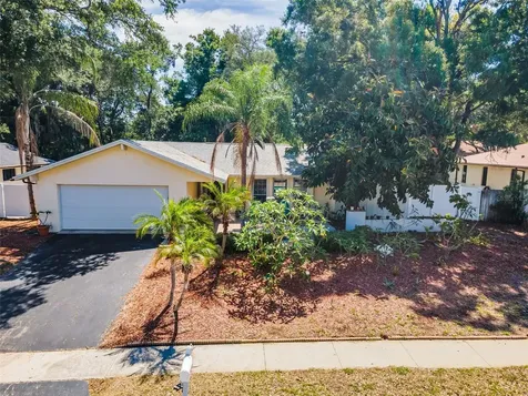 520 Sandy Hook Road Palm Harbor FL 34683