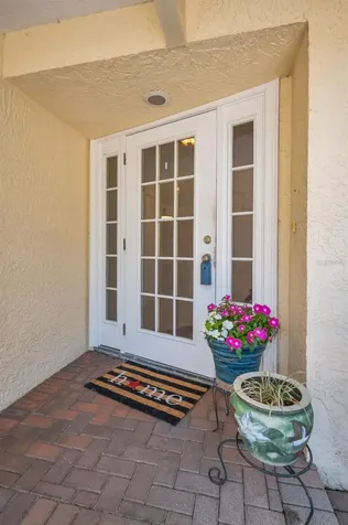 520 Sandy Hook Road Palm Harbor FL 34683