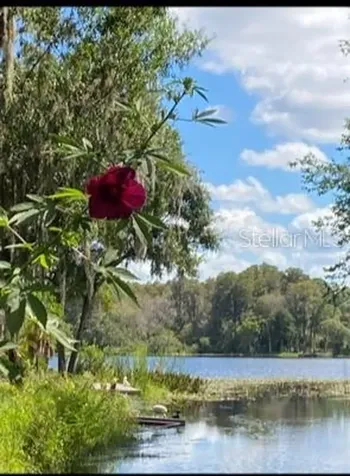 14520 Geneva Drive Odessa FL 33556