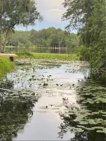 14520 Geneva Drive Odessa FL 33556
