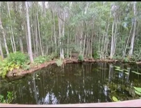 14520 Geneva Drive Odessa FL 33556