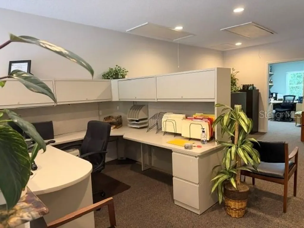 3341 W Bearss Avenue Tampa FL 33618