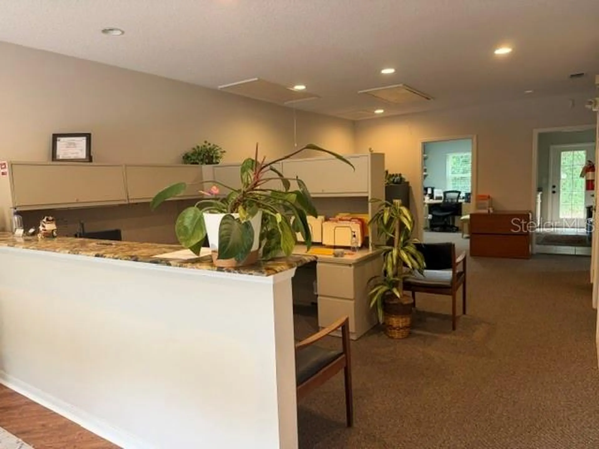 3341 W Bearss Avenue Tampa FL 33618