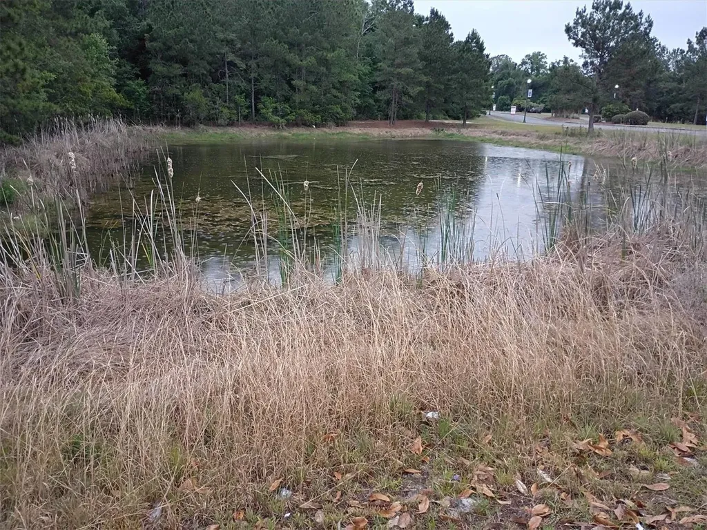 203 SW Silver Palm Drive Lake City FL 32024