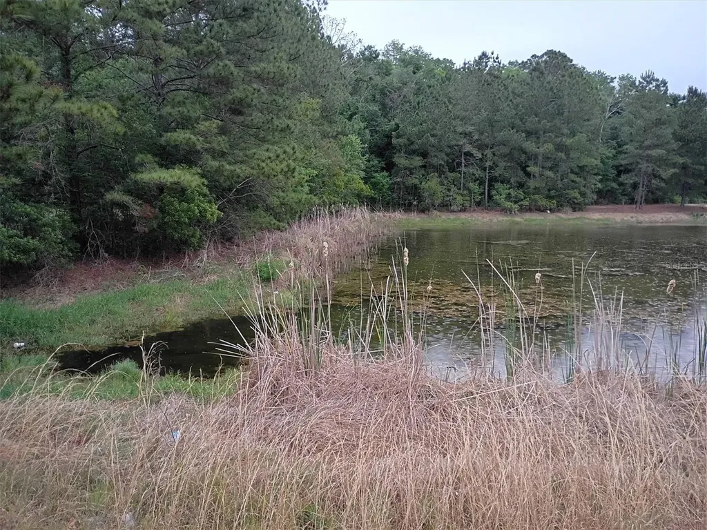 203 SW Silver Palm Drive Lake City FL 32024