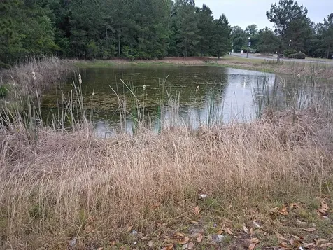 203 SW Silver Palm Drive Lake City FL 32024