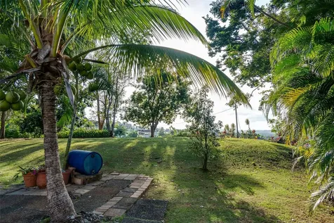 Bo Cerro Gordo, Carr 840 Sector Villas Del Olimpo Bayamon PR 00956