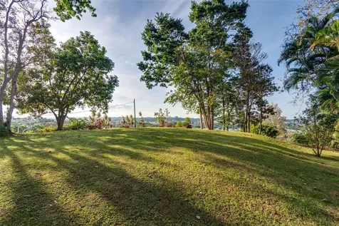 Bo Cerro Gordo, Carr 840 Sector Villas Del Olimpo Bayamon PR 00956