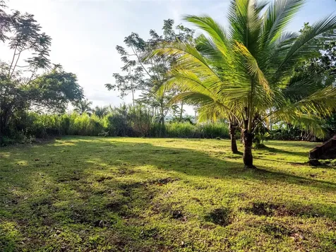 Bo Cerro Gordo, Carr 840 Sector Villas Del Olimpo Bayamon PR 00956
