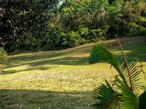 Bo Cerro Gordo, Carr 840 Sector Villas Del Olimpo Bayamon PR 00956
