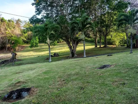 Bo Cerro Gordo, Carr 840 Sector Villas Del Olimpo Bayamon PR 00956