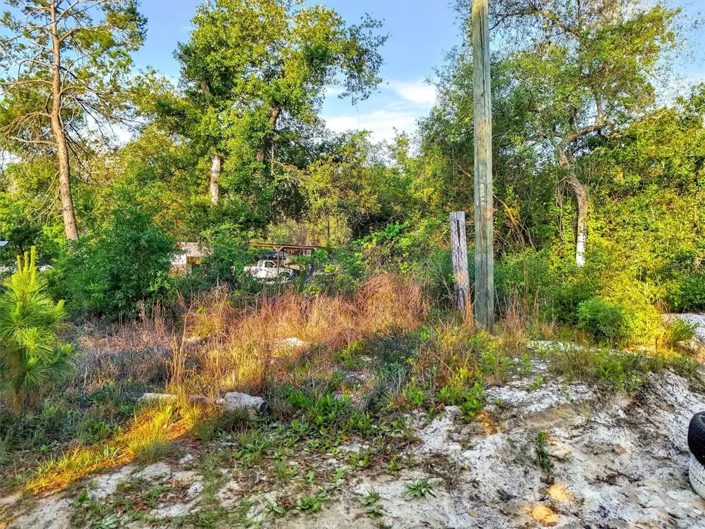 Jewell Drive Deland FL 32720