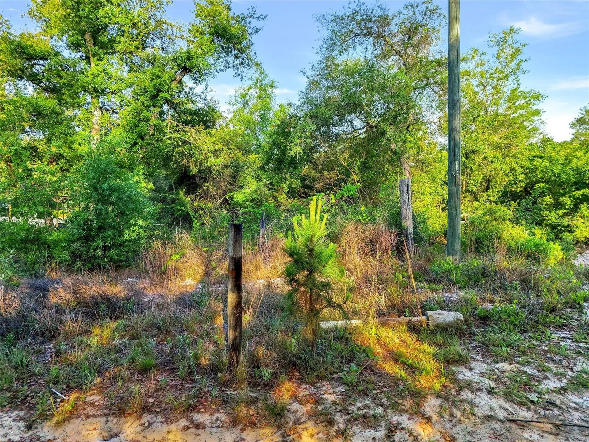 Jewell Drive Deland FL 32720