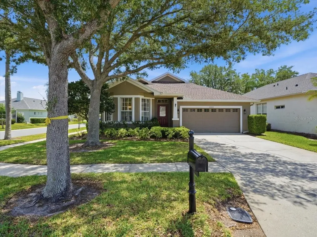 19409 Golden Slipper Place Lutz FL 33558