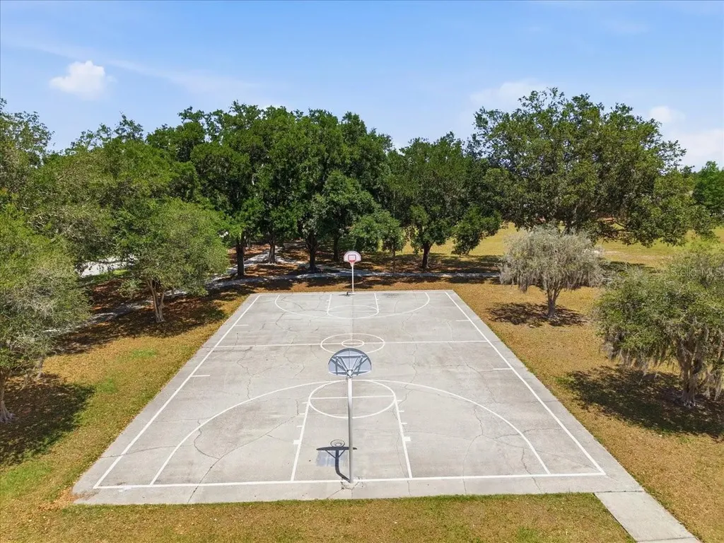 19409 Golden Slipper Place Lutz FL 33558