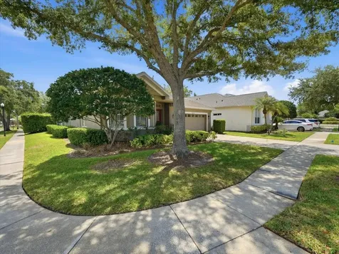 19409 Golden Slipper Place Lutz FL 33558