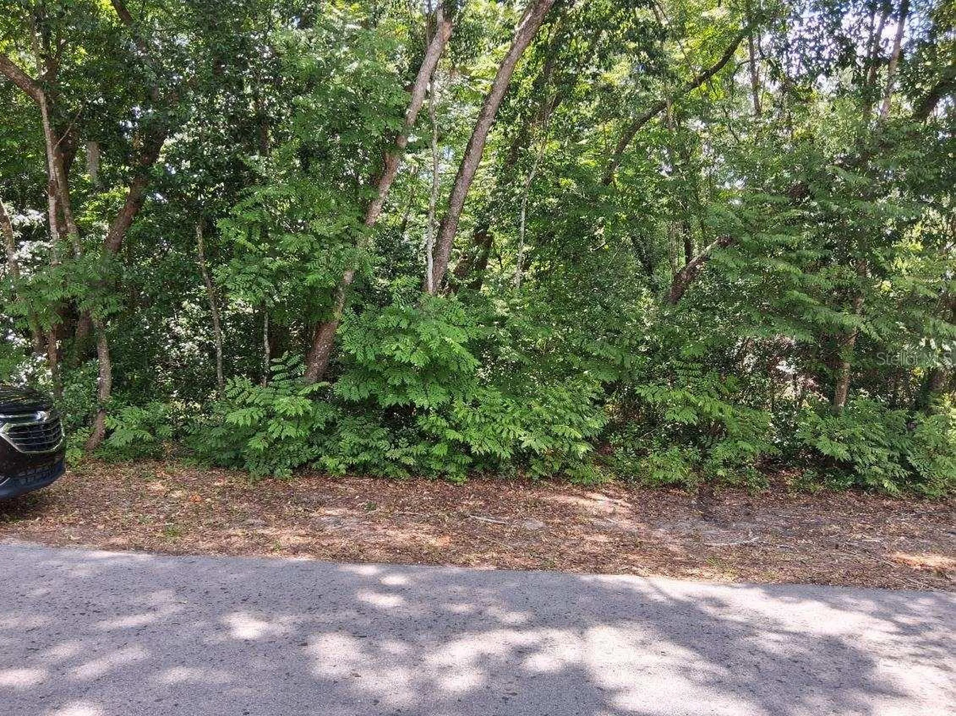 NW 2nd Street Webster FL 33597