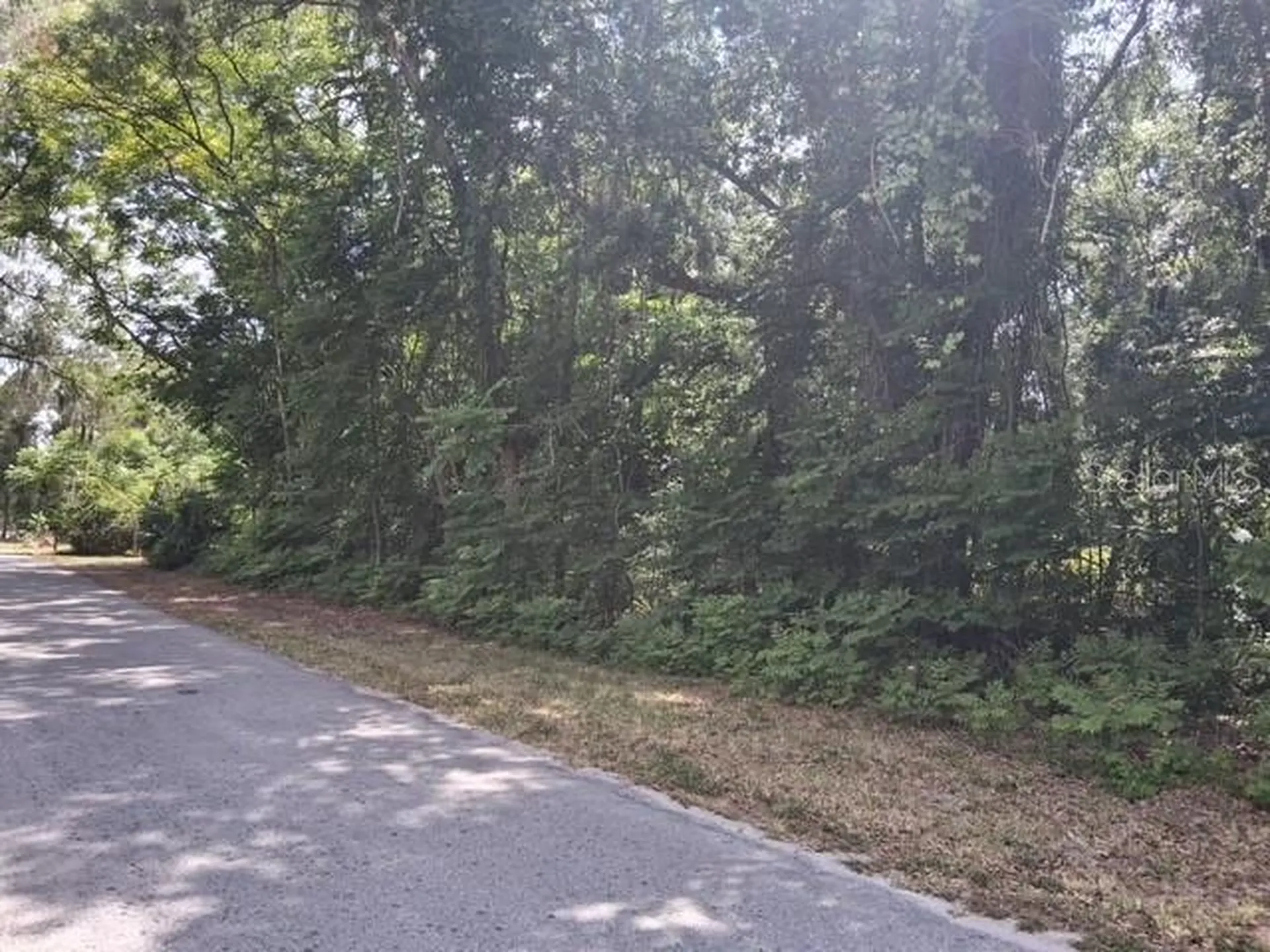 NW 2nd Street Webster FL 33597