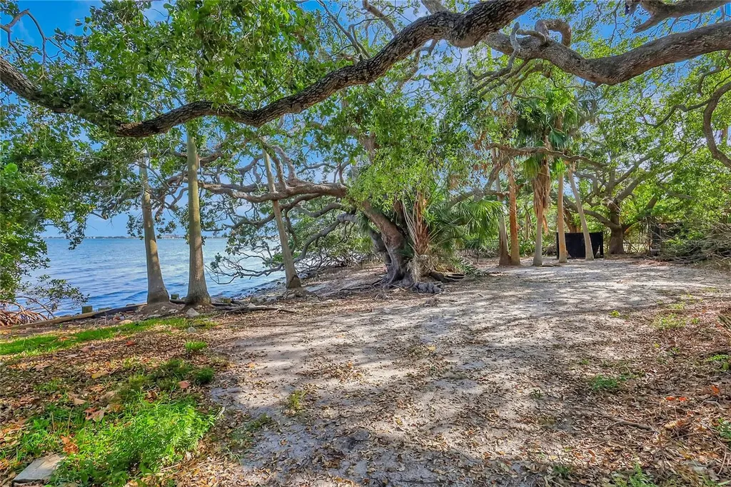 6220 Bayshore Boulevard Tampa FL 33611