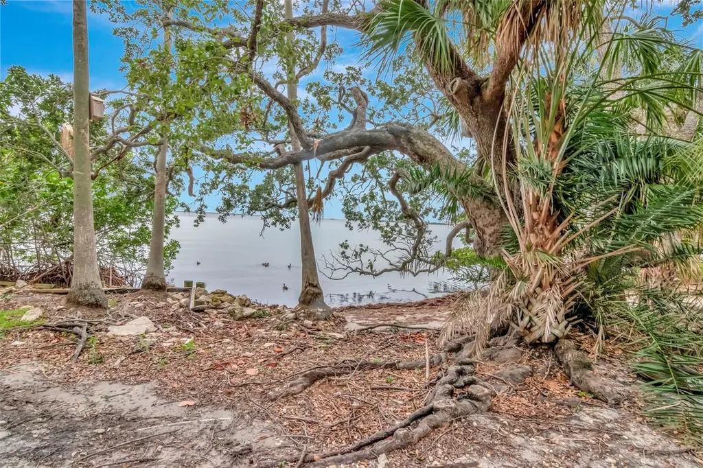 6220 Bayshore Boulevard Tampa FL 33611