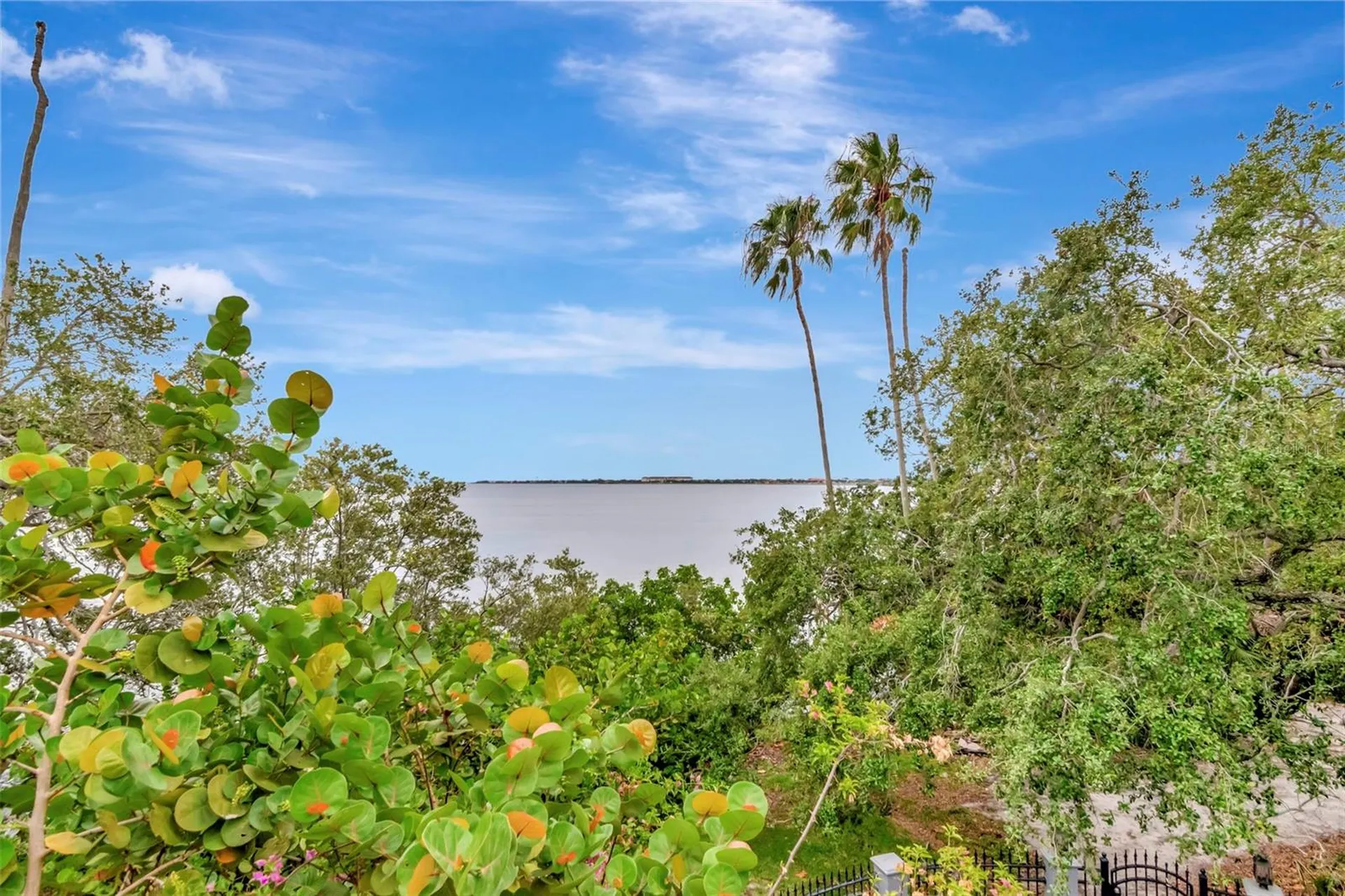 6220 Bayshore Boulevard Tampa FL 33611