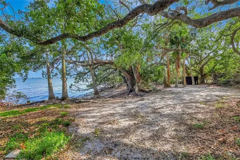 6220 Bayshore Boulevard Tampa FL 33611