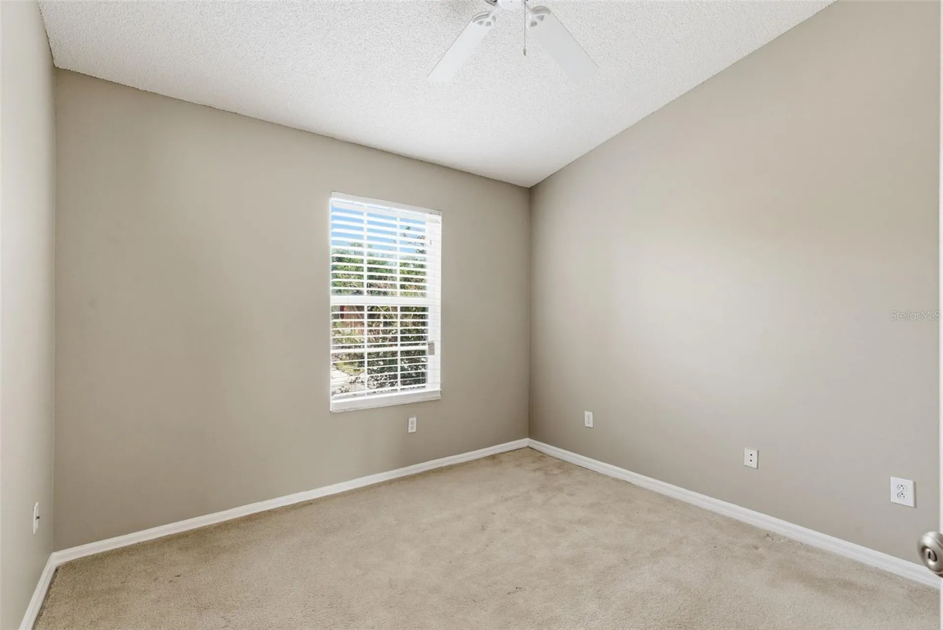 1415 Sedgwick Drive Wesley Chapel FL 33543