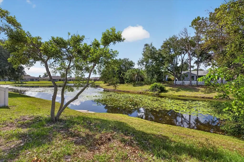 12015 Cedarfield Drive Riverview FL 33579