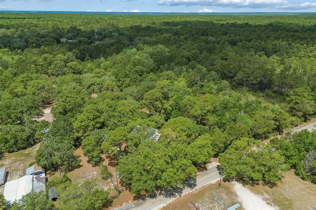 11274 S Riviera Drive Homosassa FL 34448