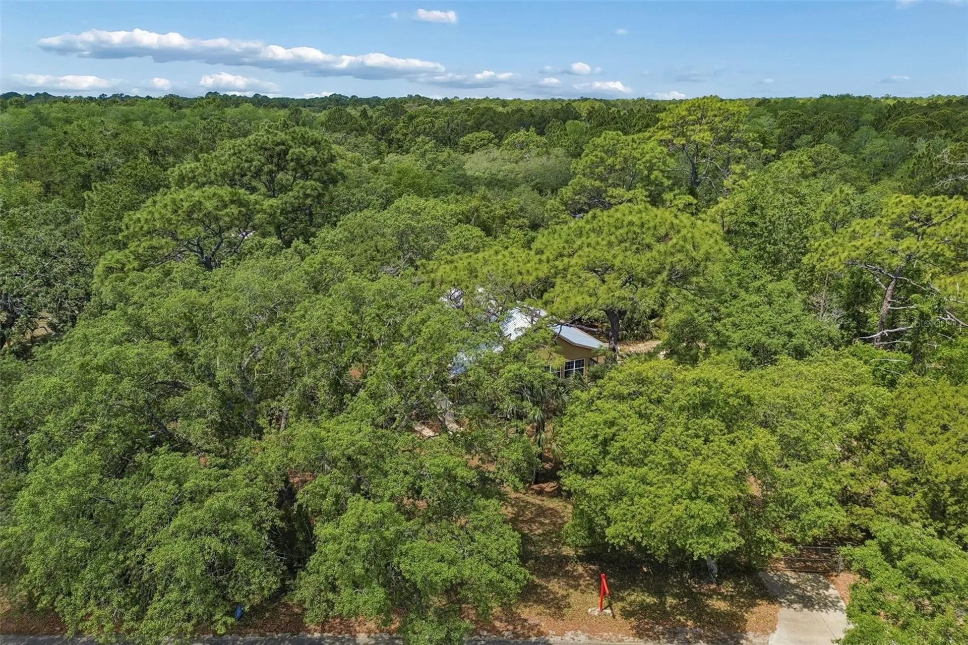 11274 S Riviera Drive Homosassa FL 34448