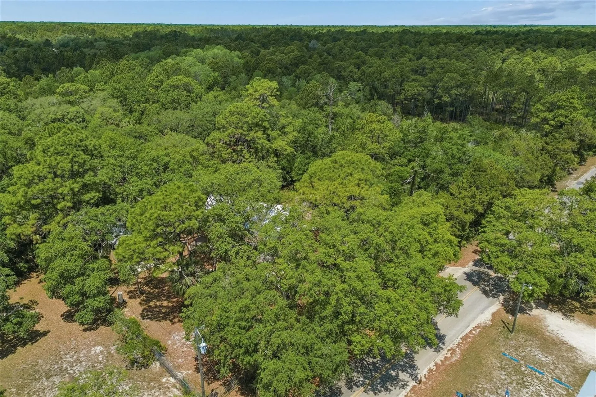 11274 S Riviera Drive Homosassa FL 34448