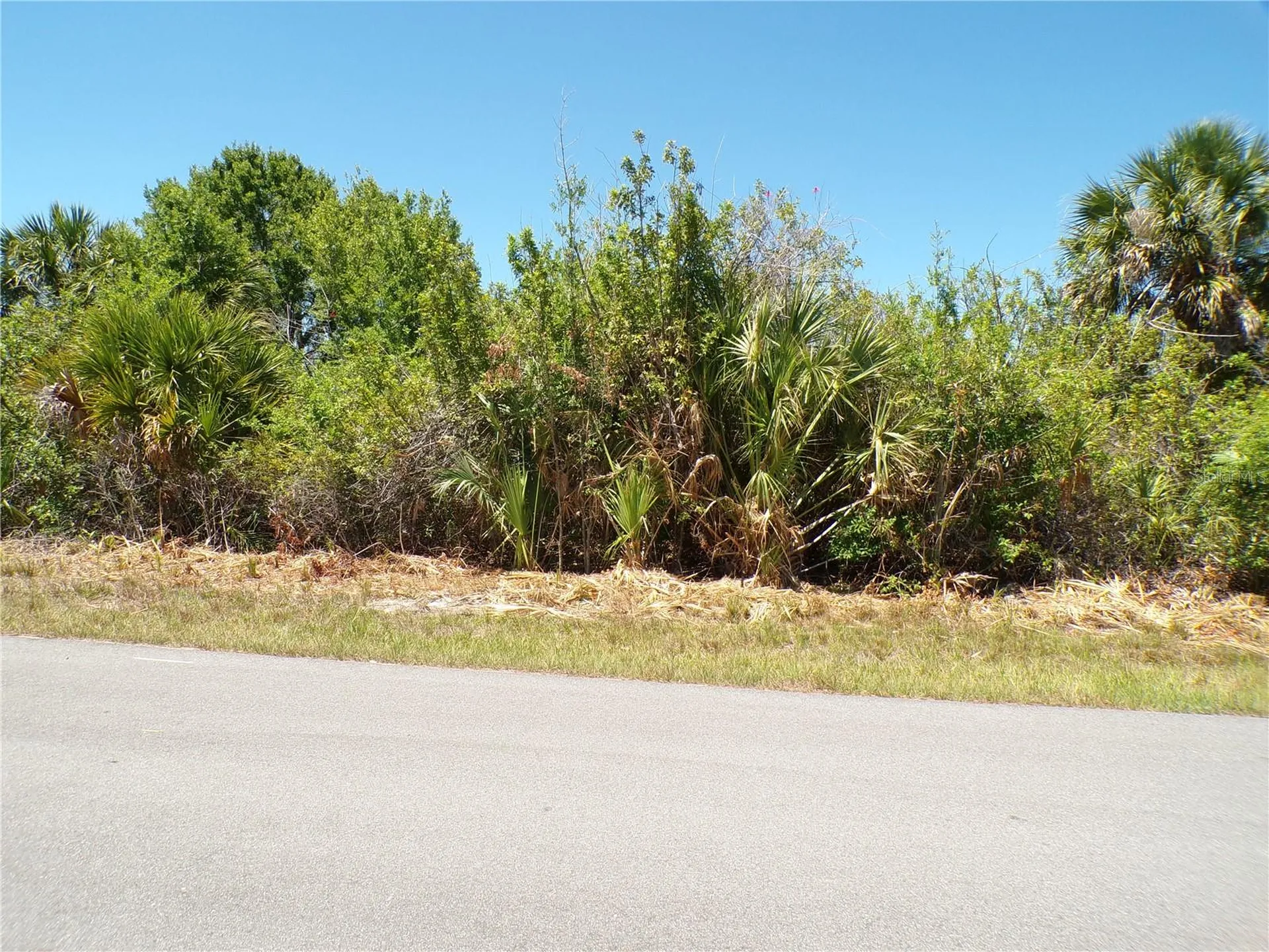 12128 Van Gough Avenue Port Charlotte FL 33981