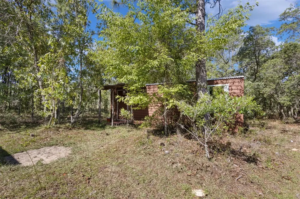 5330 SE 128th Terrace Morriston FL 32668