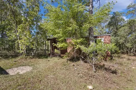 5330 SE 128th Terrace Morriston FL 32668