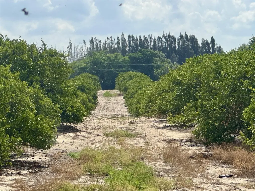 Crooked Lake Drive N Babson Park FL 33827