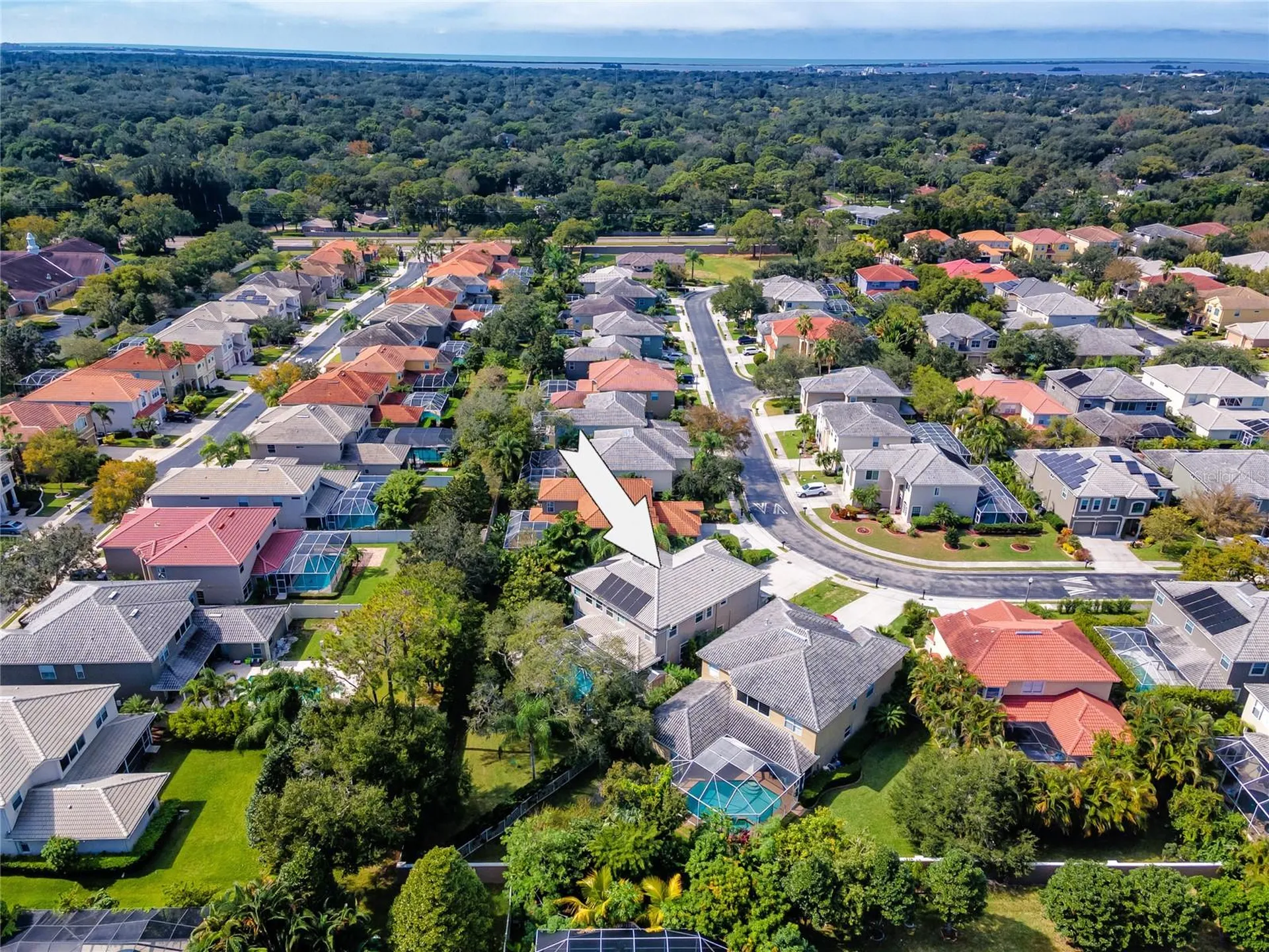 2241 Highland Woods Drive Dunedin FL 34698