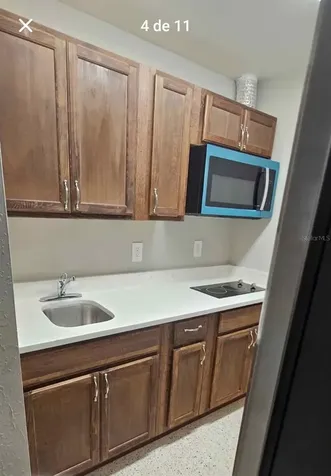 409 Debra Drive Brandon FL 33510
