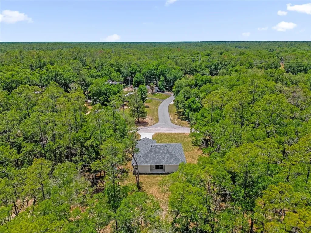 1377 W Alexander Drive Citrus Springs FL 34434