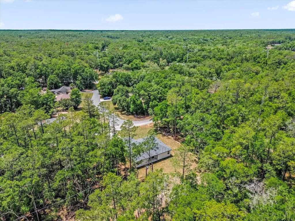 1377 W Alexander Drive Citrus Springs FL 34434
