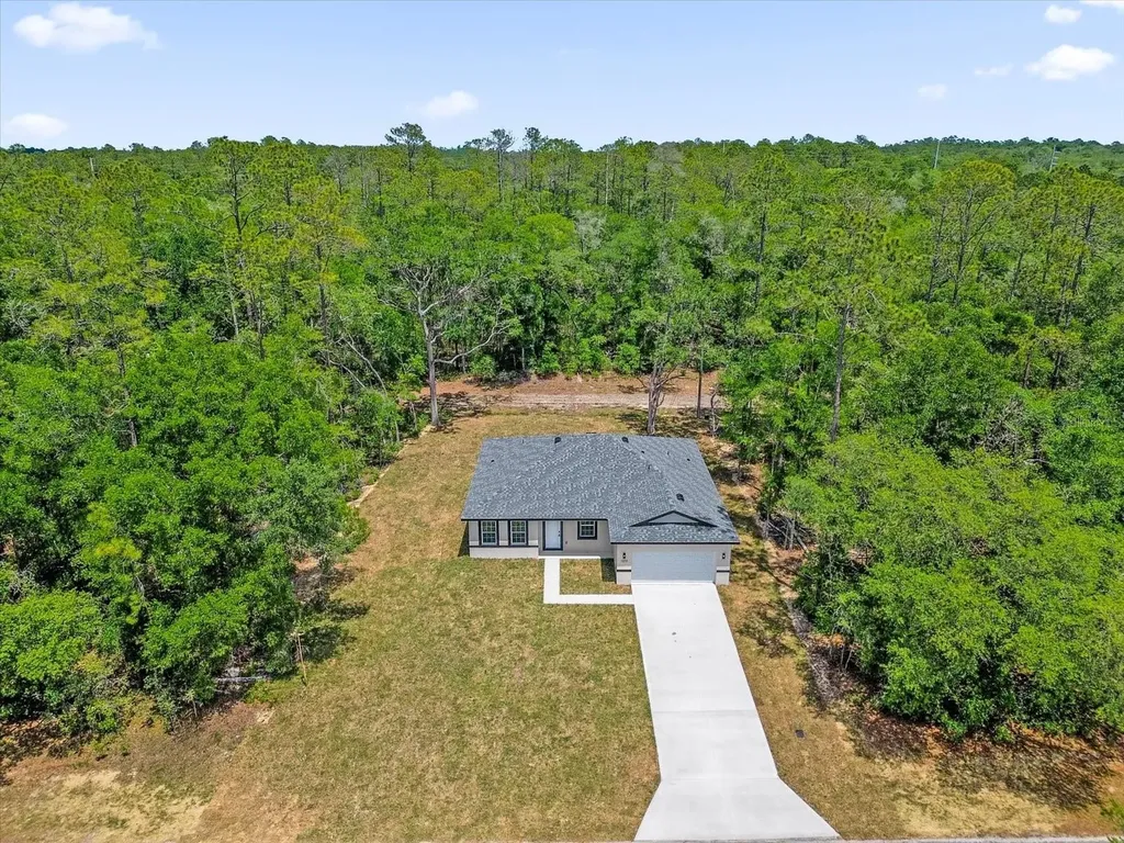 1377 W Alexander Drive Citrus Springs FL 34434