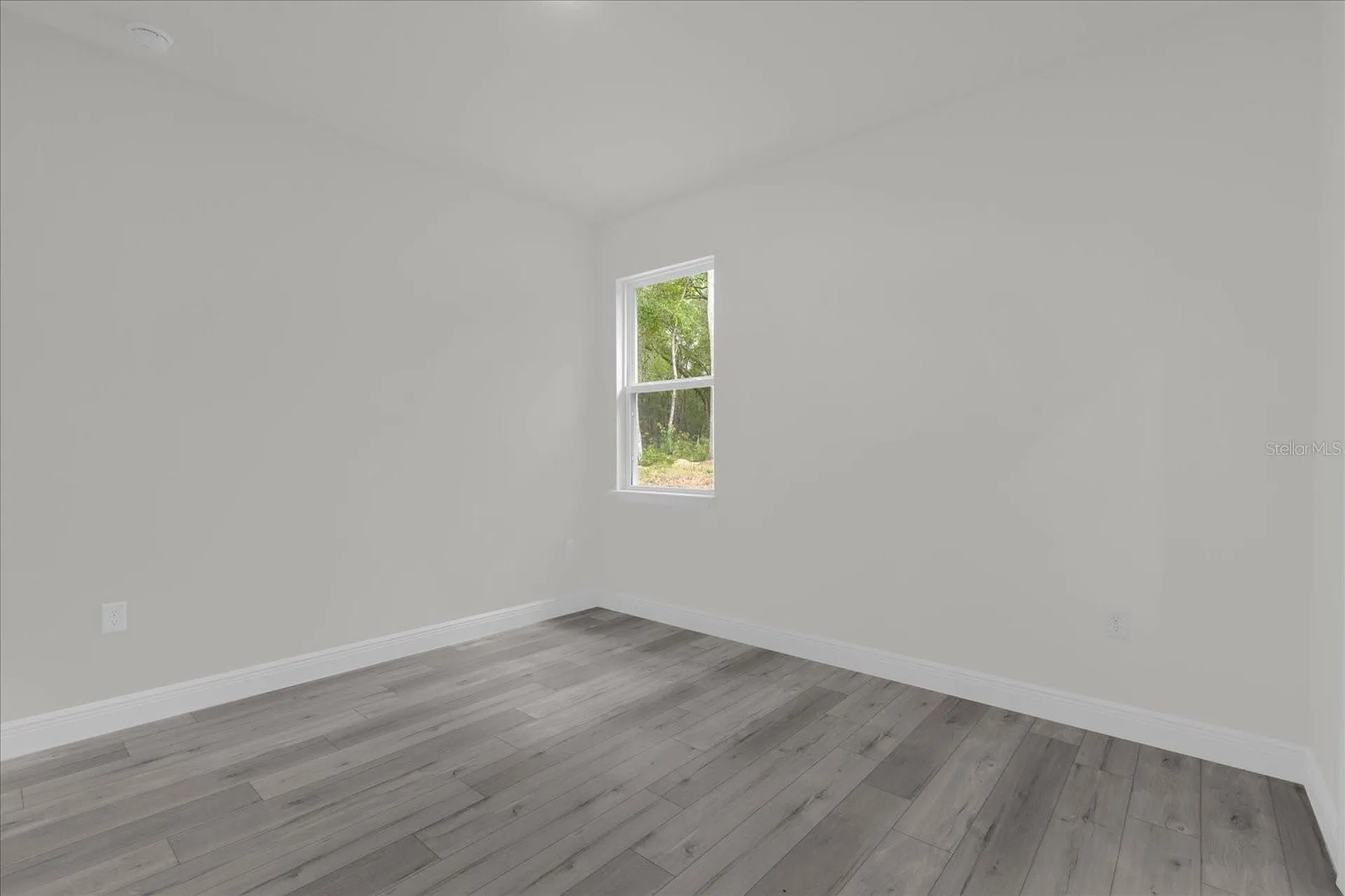 1377 W Alexander Drive Citrus Springs FL 34434