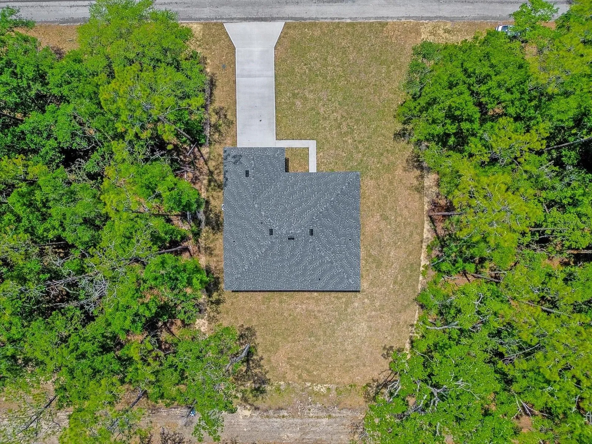 1377 W Alexander Drive Citrus Springs FL 34434