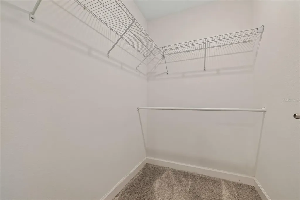 1295 White Fox Run Lutz FL 33549