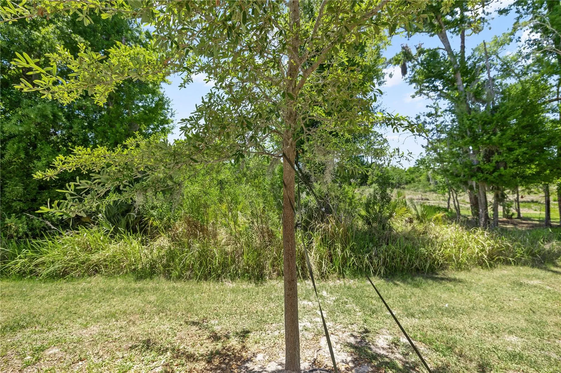 1295 White Fox Run Lutz FL 33549